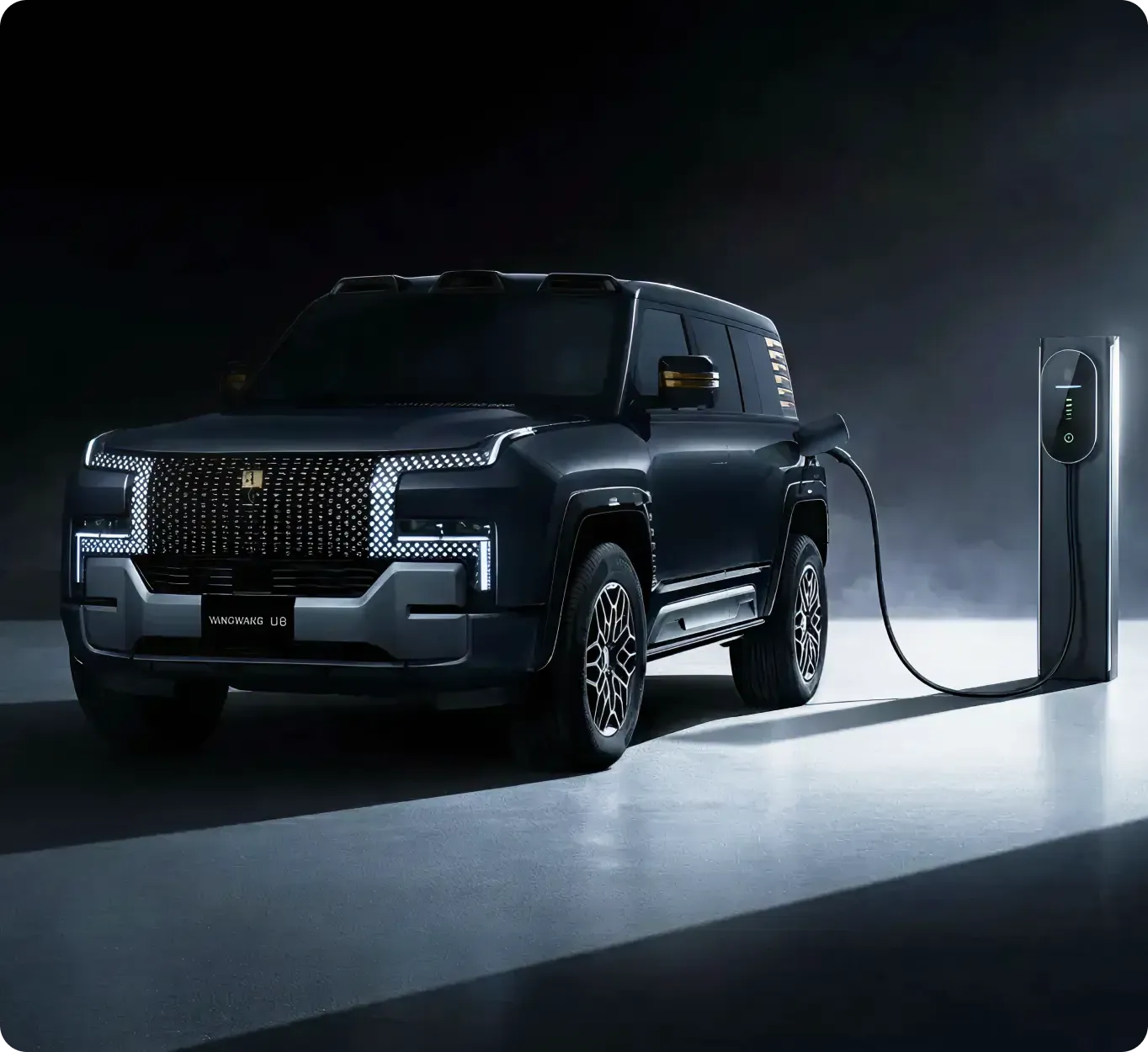 Yangwang Smart Power Solutions