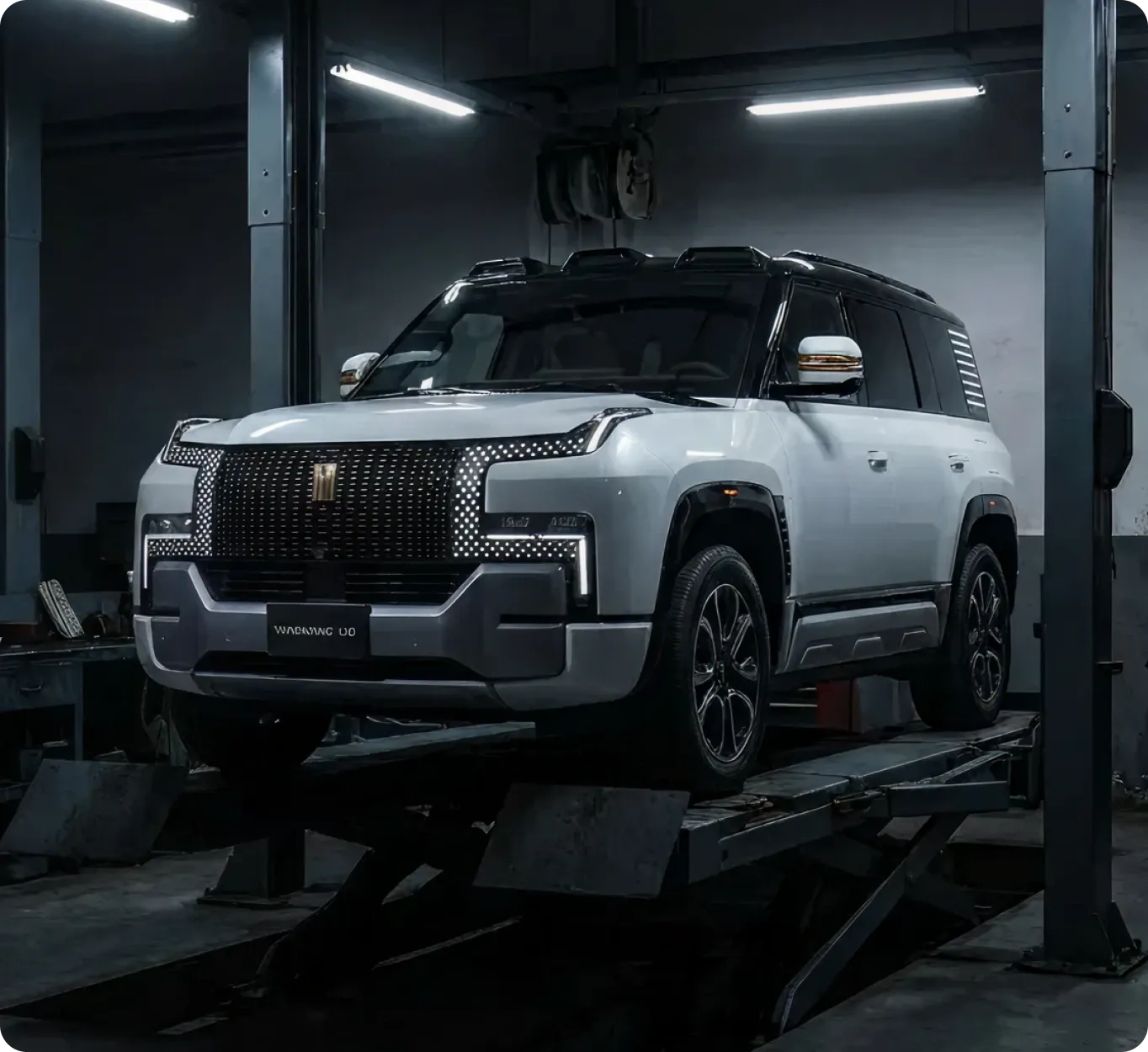 Yangwang maintenance service